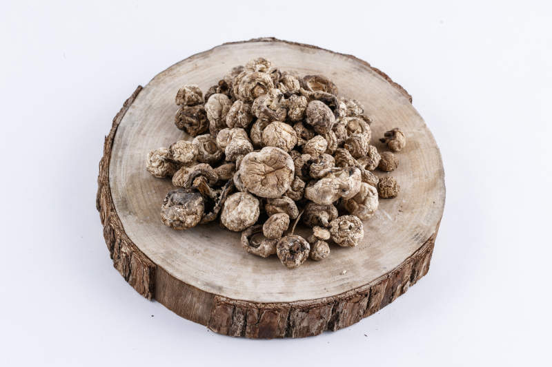 摆放在复杂背景上的坝上脱水干制口蘑图片