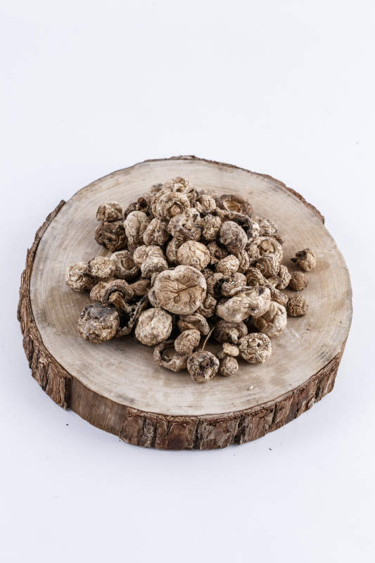 摆放在复杂背景上的坝上脱水干制口蘑图片