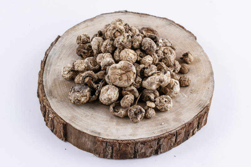 摆放在复杂背景上的坝上脱水干制口蘑图片