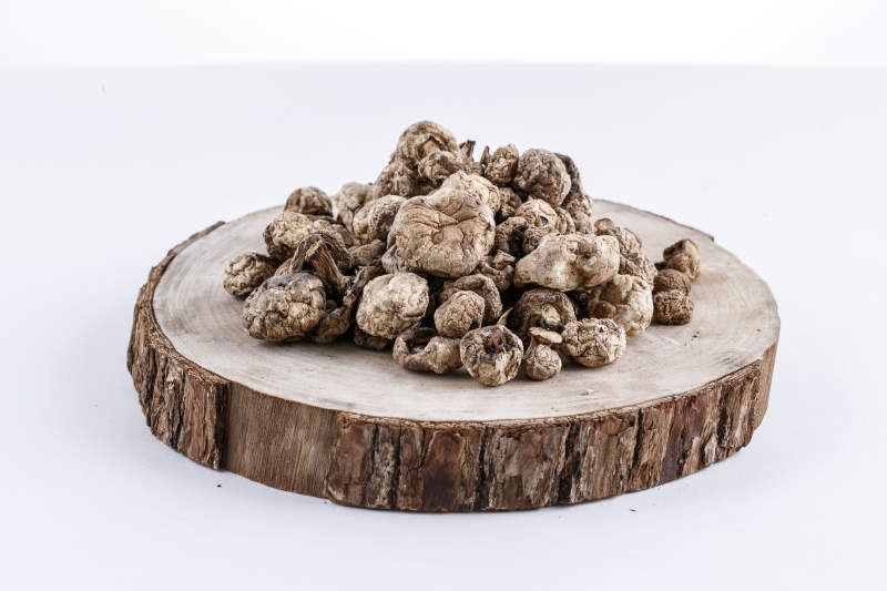 摆放在复杂背景上的坝上脱水干制口蘑图片