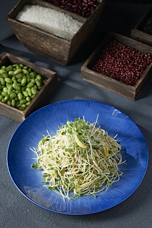 香椿苗凉拌干豆腐丝图片