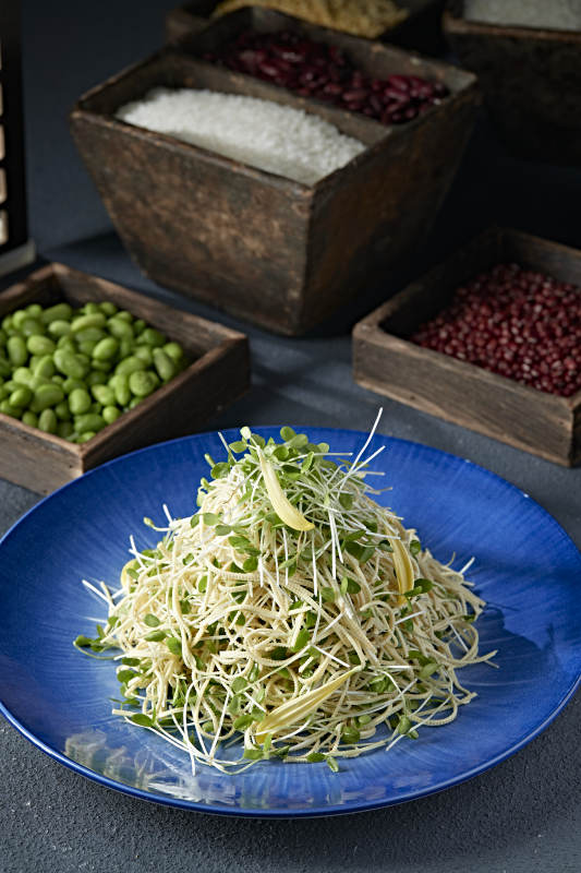 香椿苗凉拌干豆腐丝图片