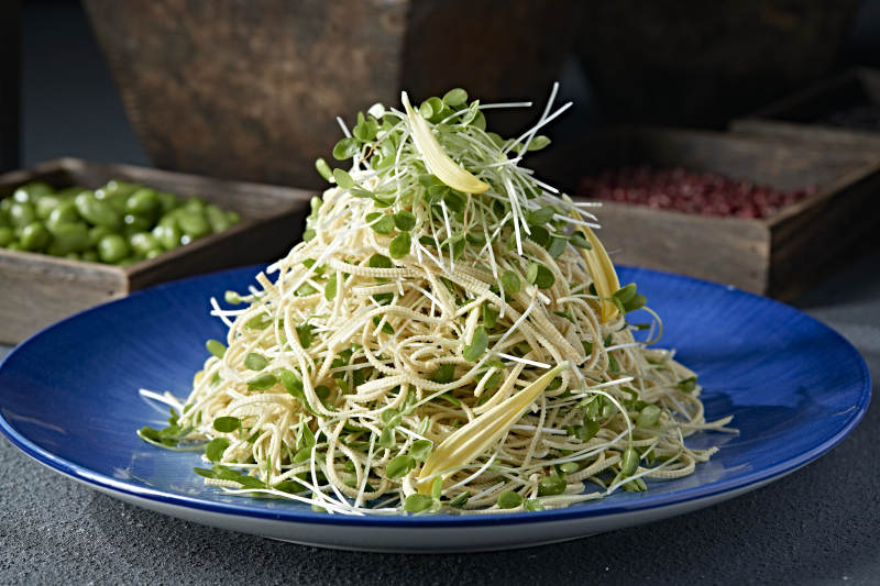 香椿苗凉拌干豆腐丝图片