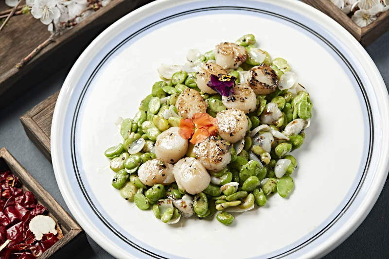 蚕豆百合炒贝丁 瑶柱 带子图片