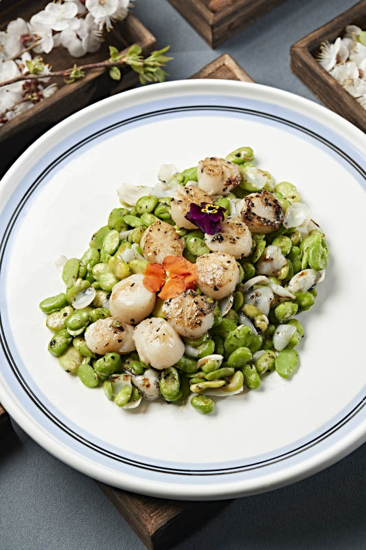 蚕豆百合炒贝丁 瑶柱 带子图片