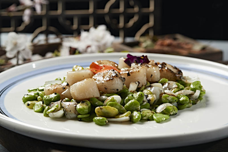 蚕豆百合炒贝丁 瑶柱 带子图片