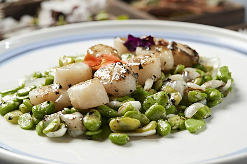 蚕豆百合炒贝丁 瑶柱 带子图片