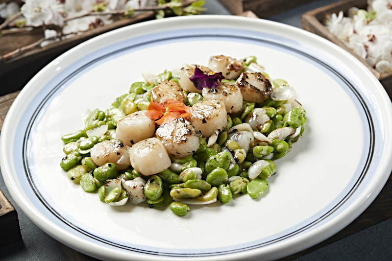 蚕豆百合炒贝丁 瑶柱 带子图片