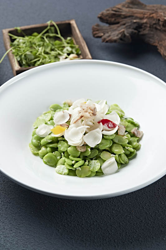 五花肉片彩椒百合小炒青蚕豆图片