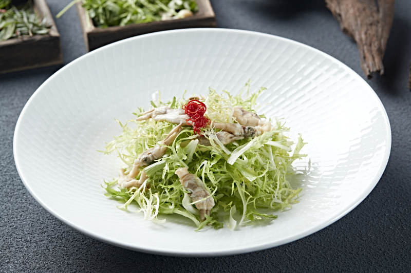 苦菊凉拌海蛏子肉图片