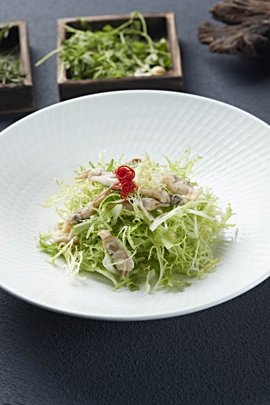 苦菊凉拌海蛏子肉图片