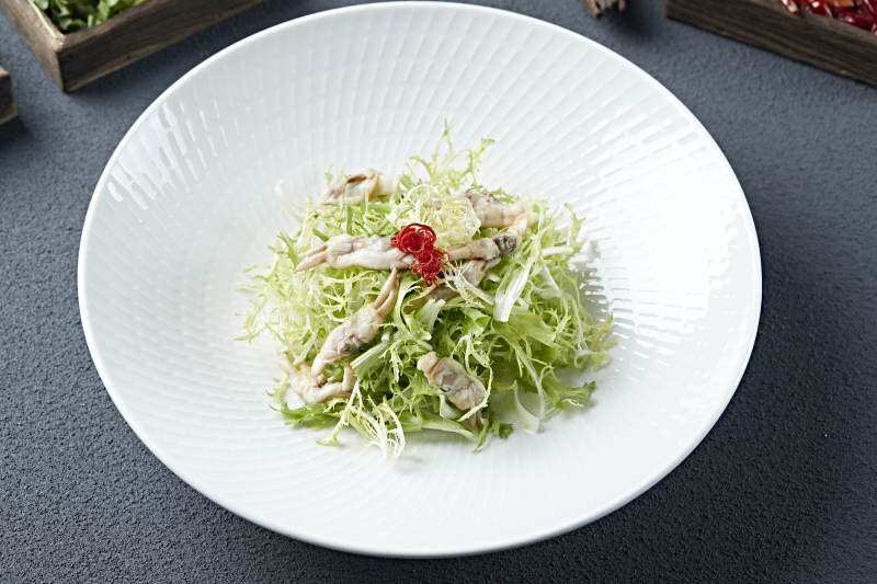 苦菊凉拌海蛏子肉图片