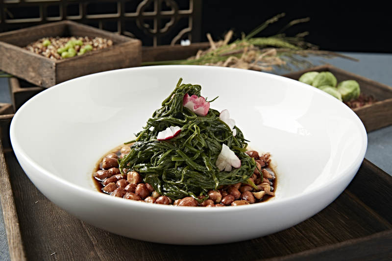 美味凉菜老醋花生拌沙葱图片