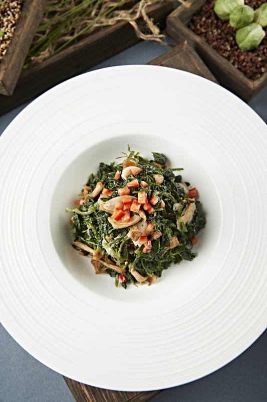 美味凉菜彩椒粒杏仁山珍菌拌蒲公英图片