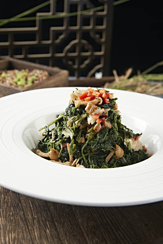 美味凉菜彩椒粒杏仁山珍菌拌蒲公英图片