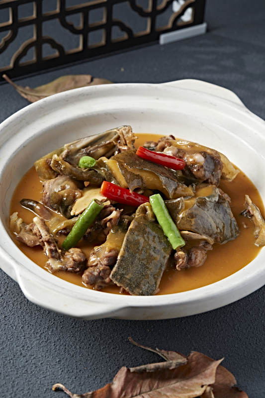 砂锅浓汤煲甲鱼图片