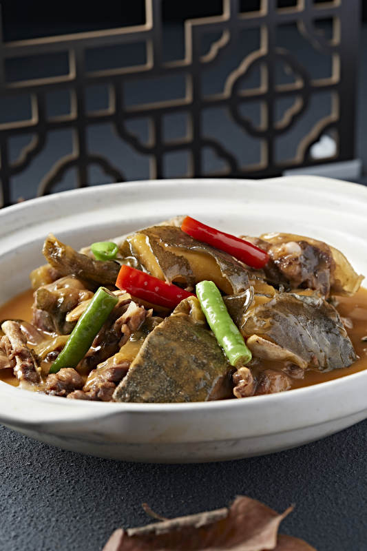 砂锅浓汤煲甲鱼图片