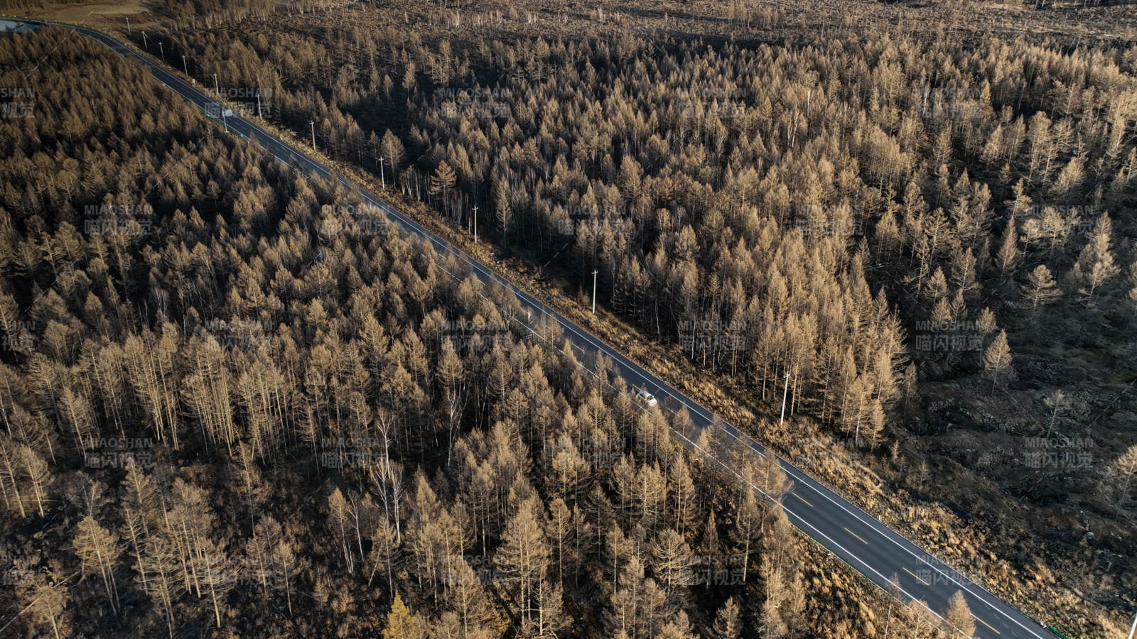 大兴安岭林间公路航拍图片