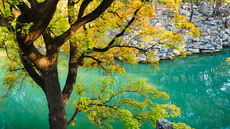 颐和园后湖秋树映碧水图片