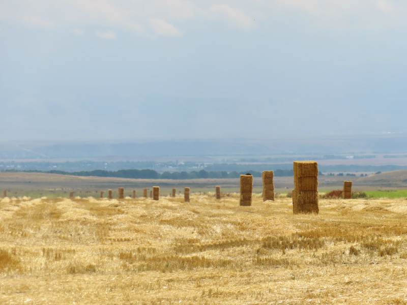 新疆昭苏金田麦垛远山景图片