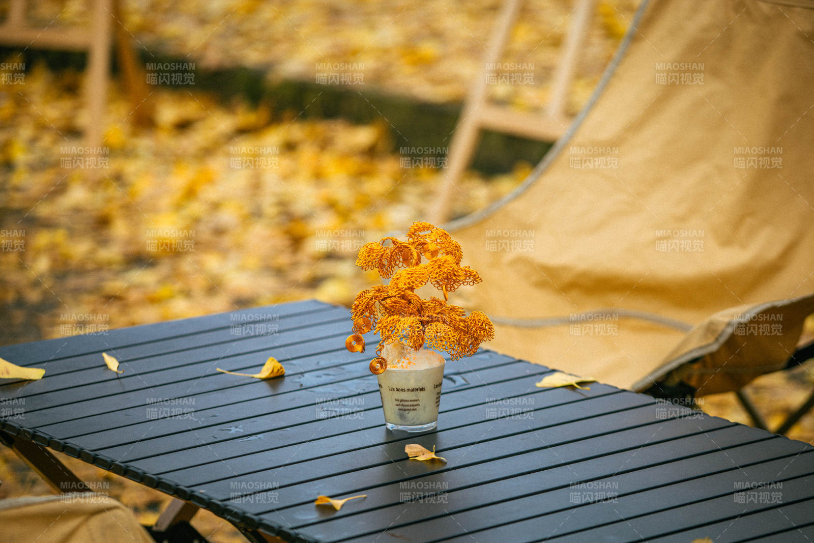 秋日静谧时光图片