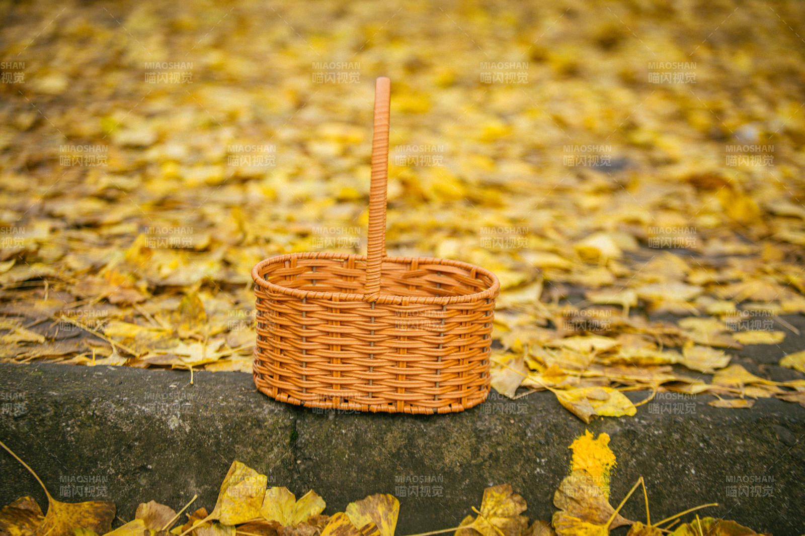 秋叶中的竹篮图片