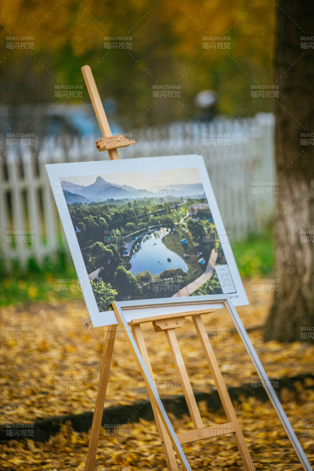 秋日画架风景图图片