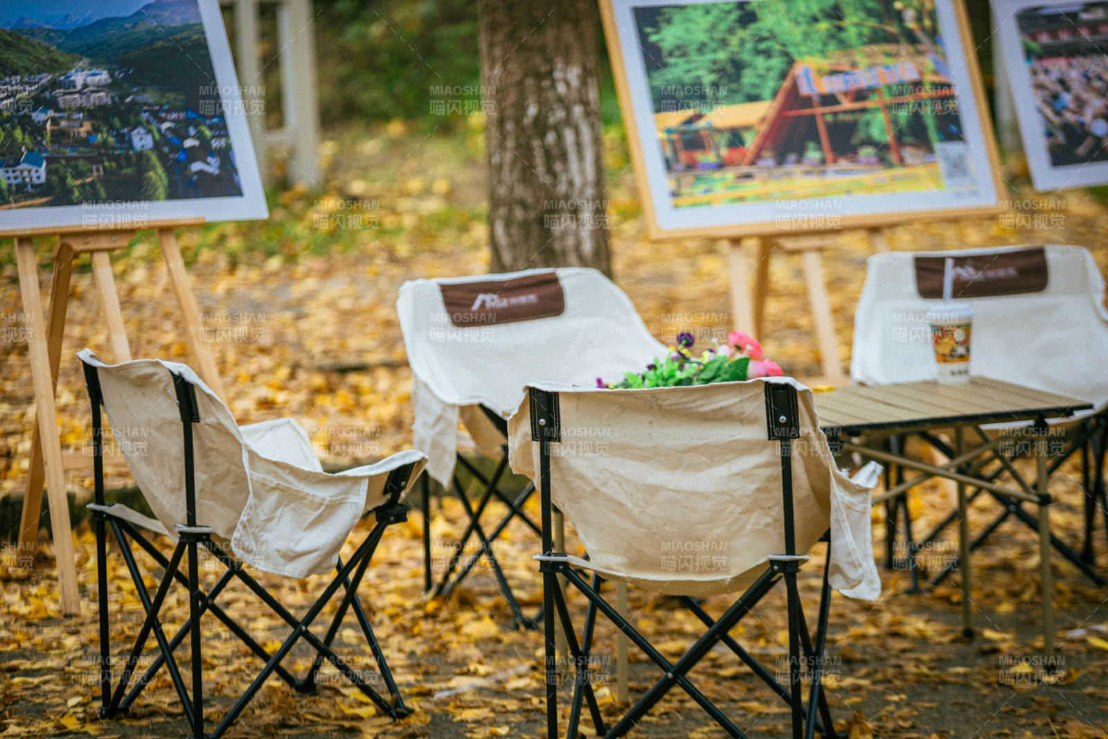 秋日画展静谧一角图片