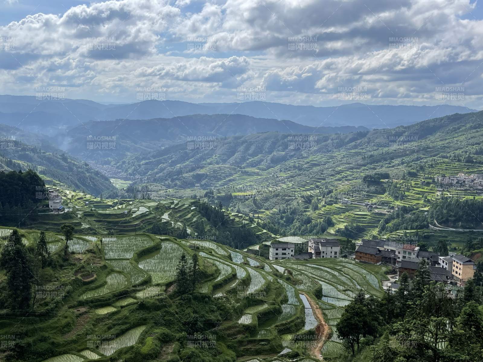 贵州 梯田风光 云雾缭绕图片