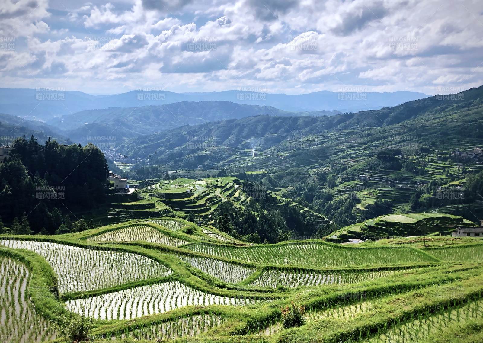 贵州梯田风光图片