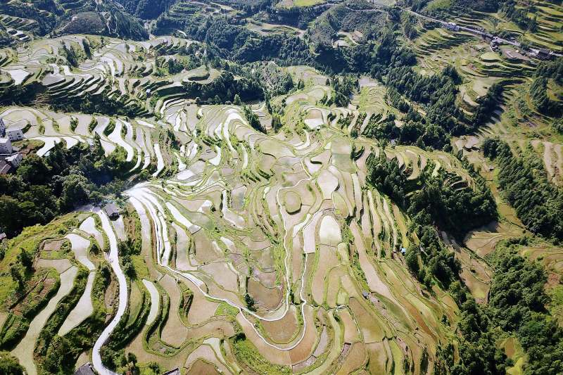贵州梯田风光图片