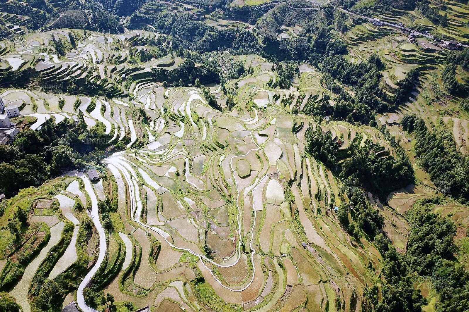 贵州梯田风光图片