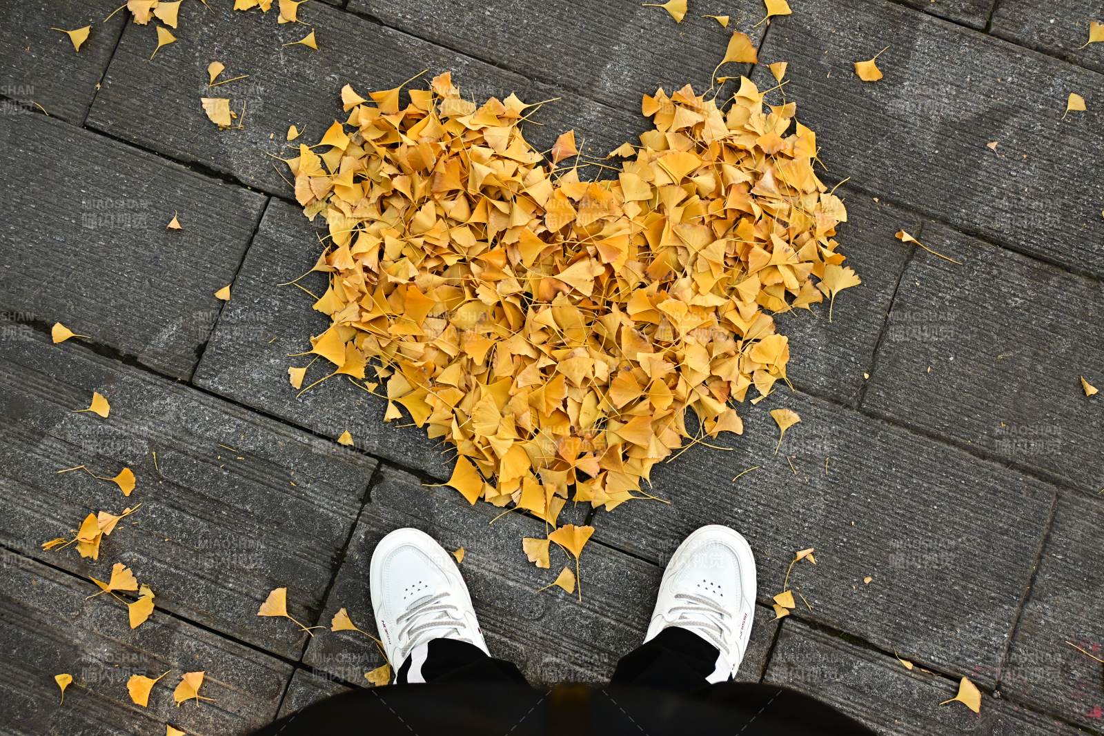 落叶心形与白鞋图片