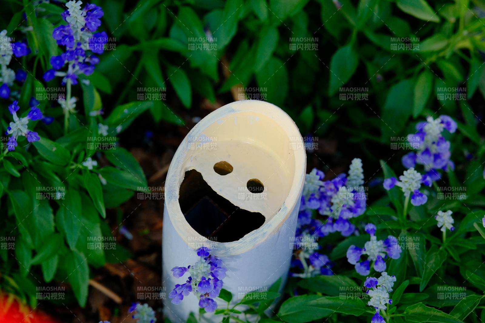 笑脸花盆中的小花图片