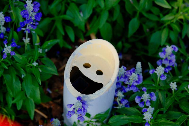 笑脸花盆中的小花图片