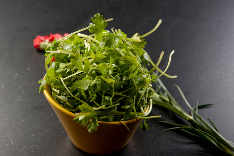 火锅食材涮品娃娃菜心图片