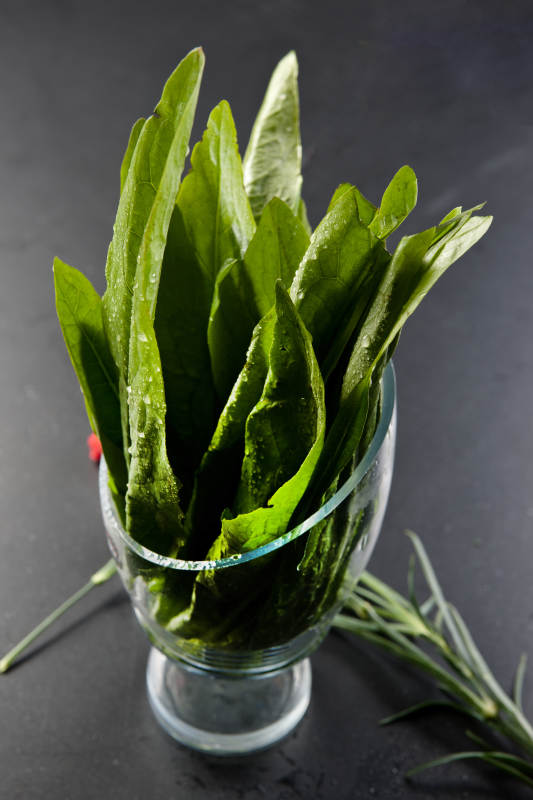 火锅涮品鲜冬瓜图片