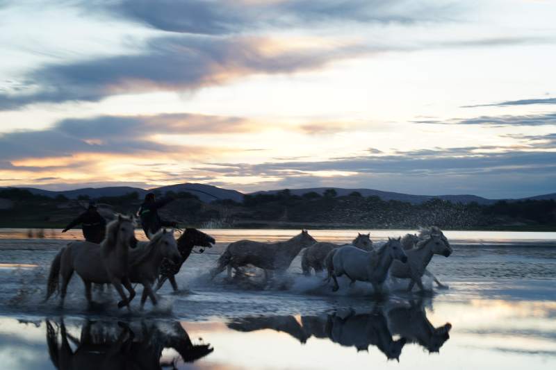 骏马奔腾湖面图片