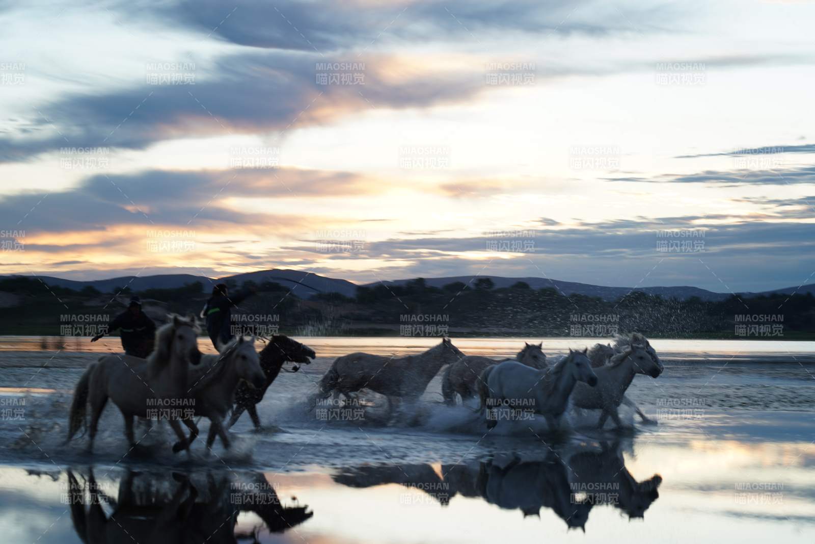 骏马奔腾湖面图片