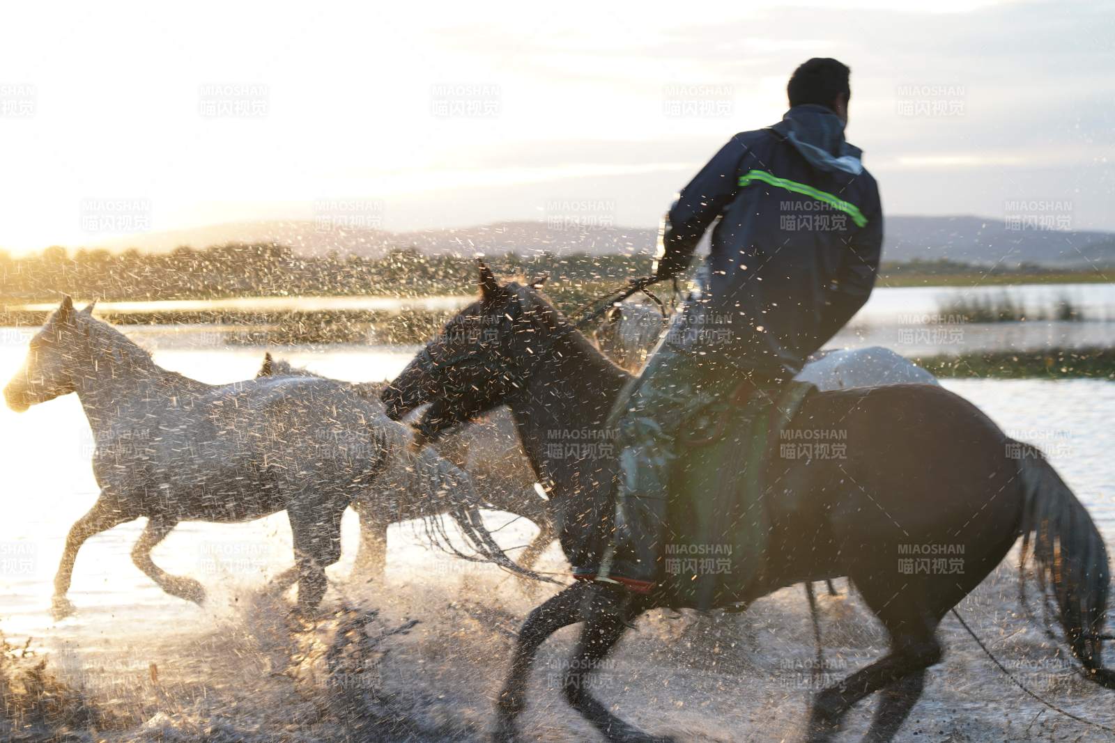 骏马奔腾水花飞溅图片