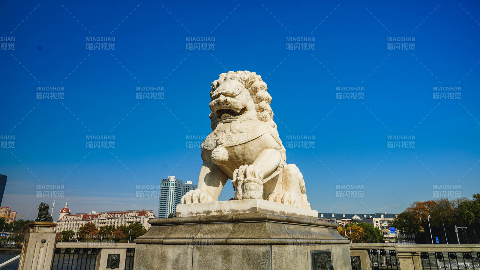 天津狮子桥石狮守桥图片