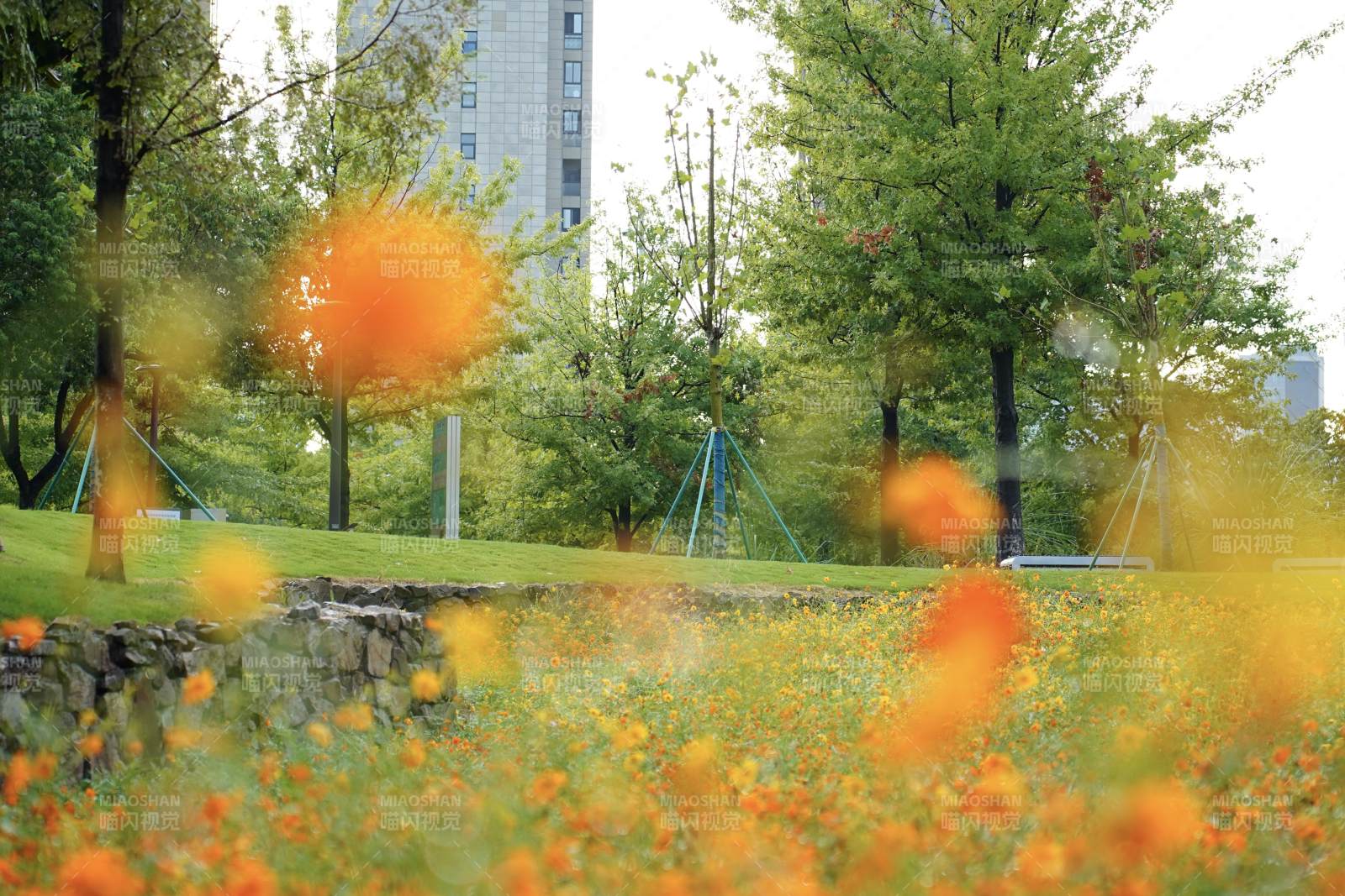 春日花海公园景图片