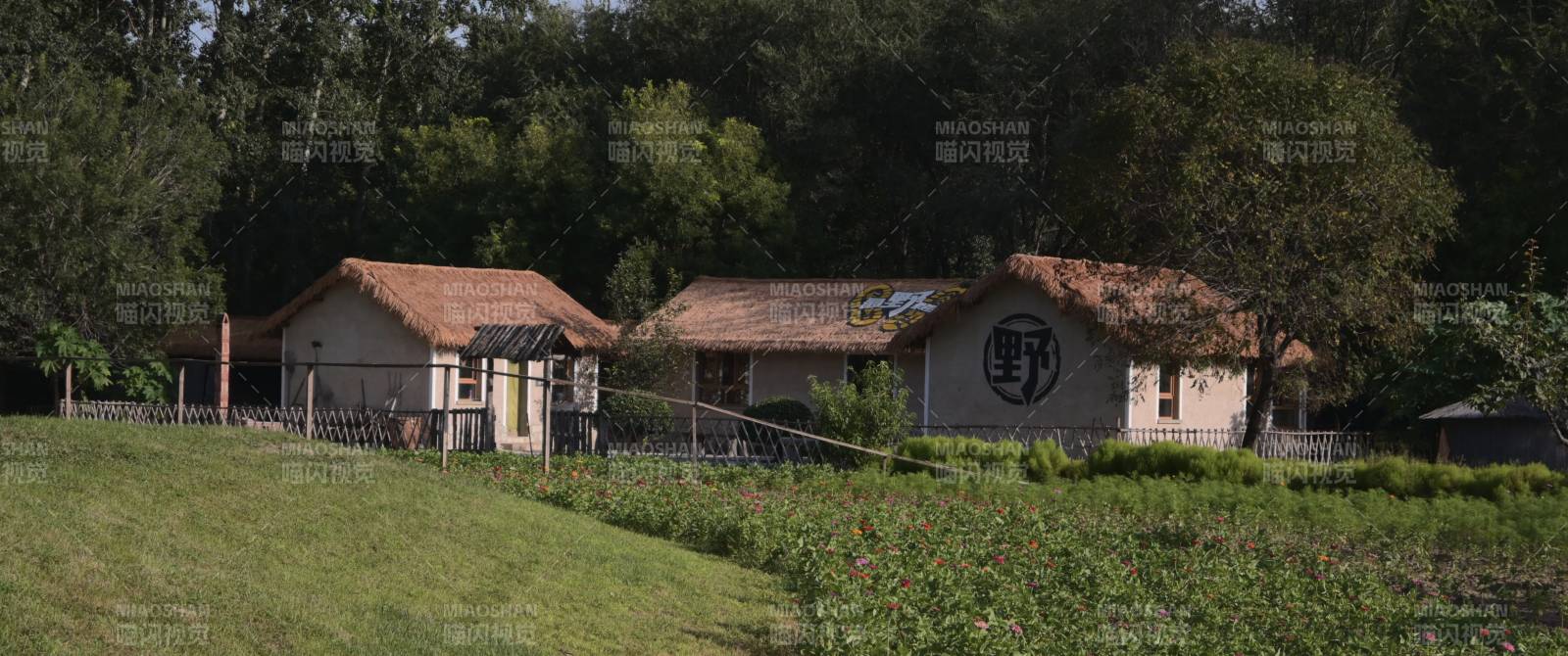 野生动物园图片