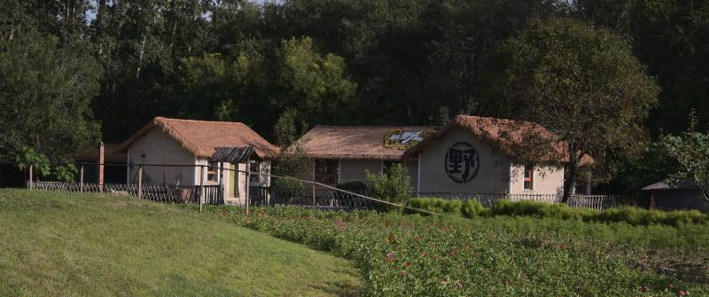 野生动物园图片