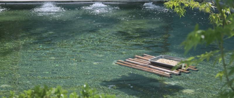 竹筏静泊碧水间图片