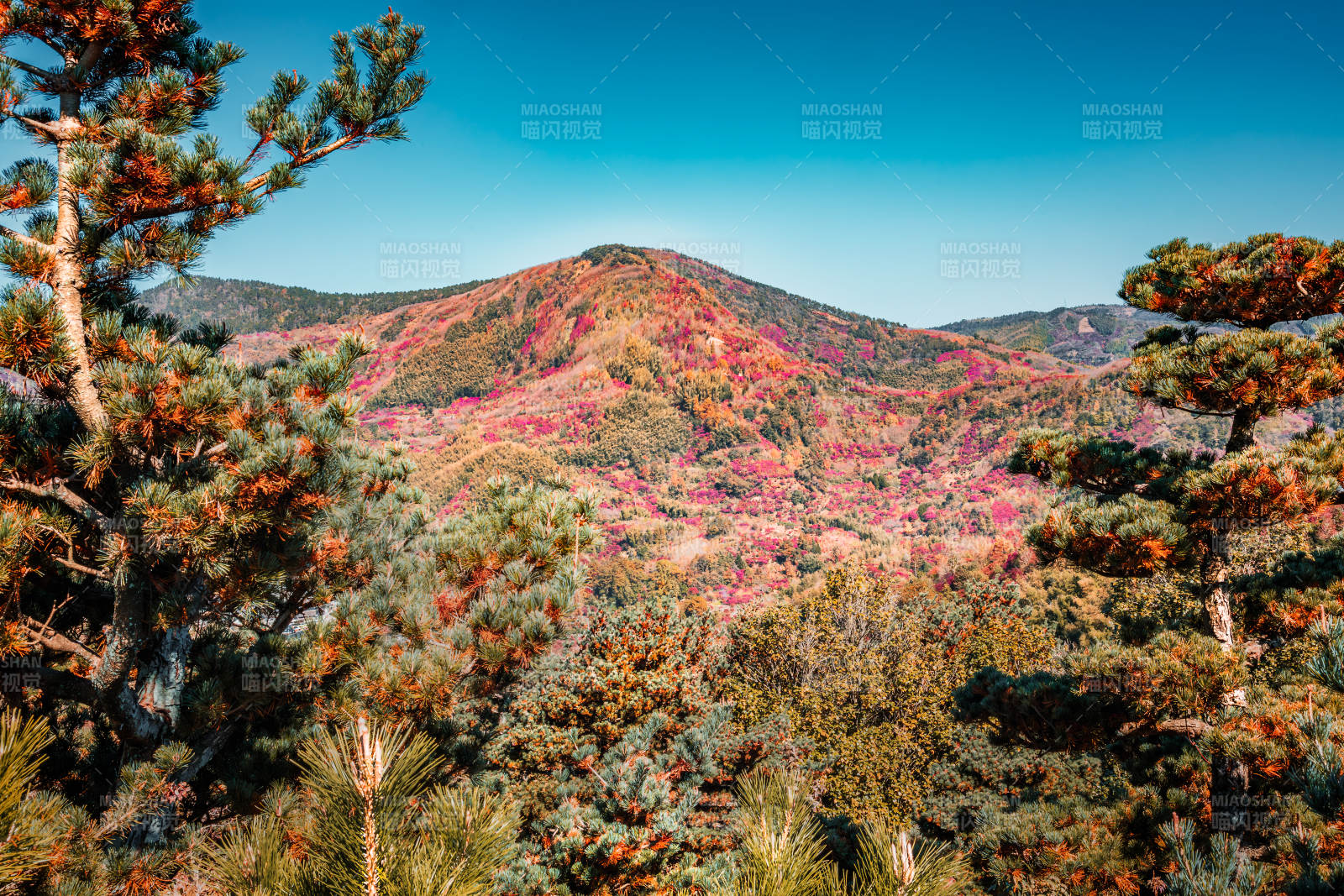 秋山彩林  十里飞瀑图片