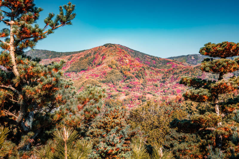 秋山彩林  十里飞瀑图片