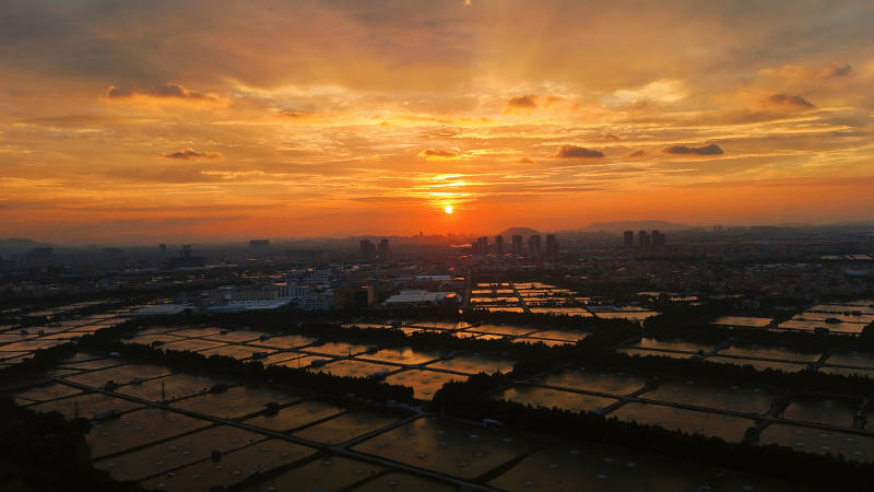 夕阳下的城市田园图片