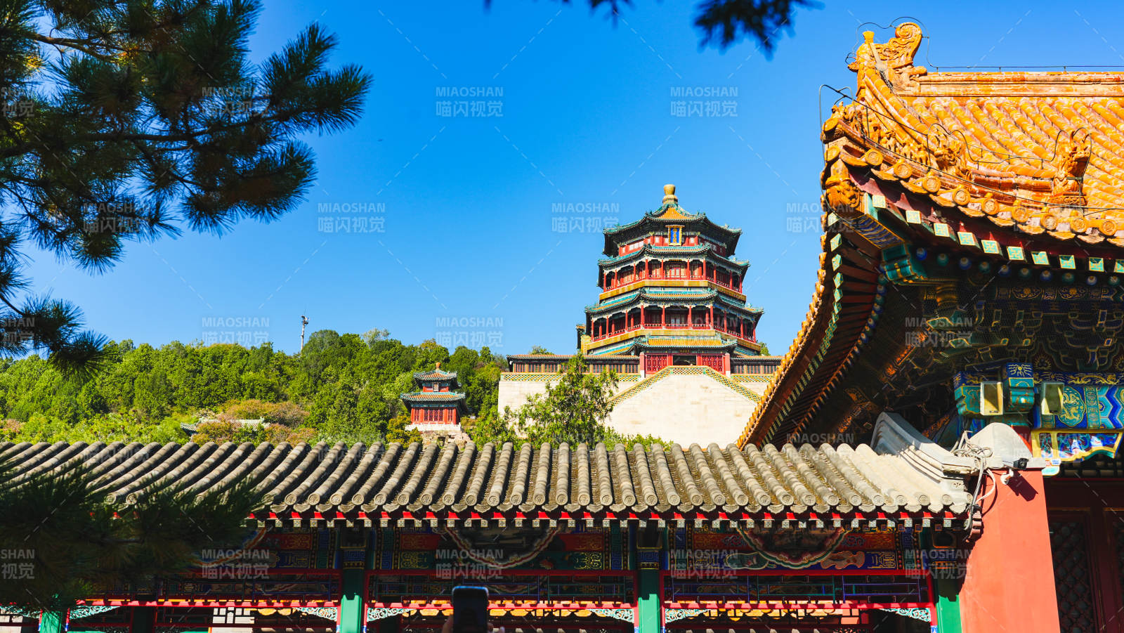 颐和园古寺塔影映蓝天图片