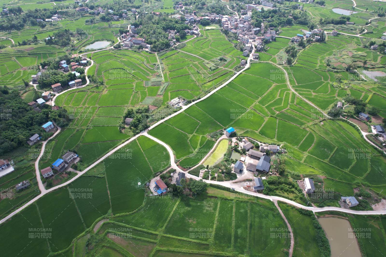广安区石笋镇白云村田园风光如画图片